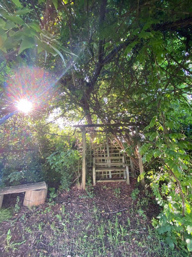 Villa Under The Oak Underberg Esterno foto